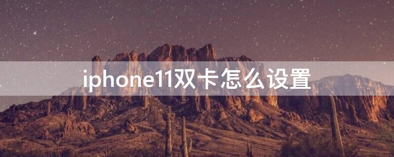 iPhone11双卡怎么设置（iphone11双卡怎么设置流量用哪个卡）