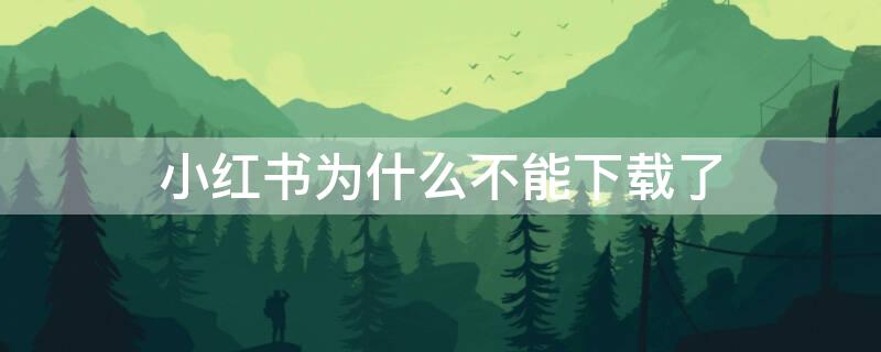 小红书为什么不能下载了 小红书为什么不能下载了呢
