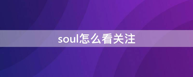 soul怎么看关注（soul怎么看关注了多少人）