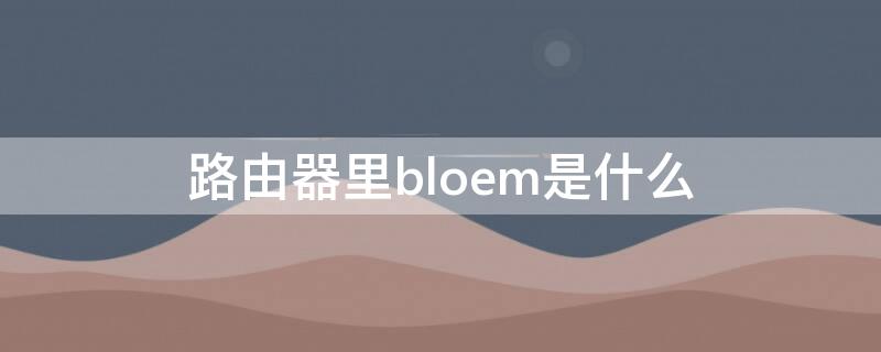 路由器里bloem是什么 路由器里bloem是什么设备