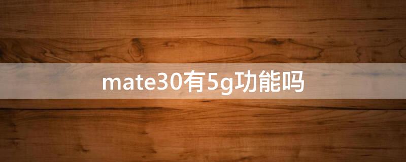 mate30有5g功能吗（mate30用5g）