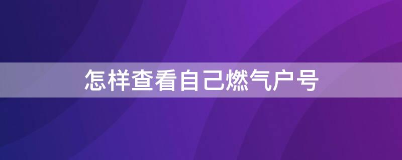 怎样查看自己燃气户号 怎样查看自己燃气户号编码