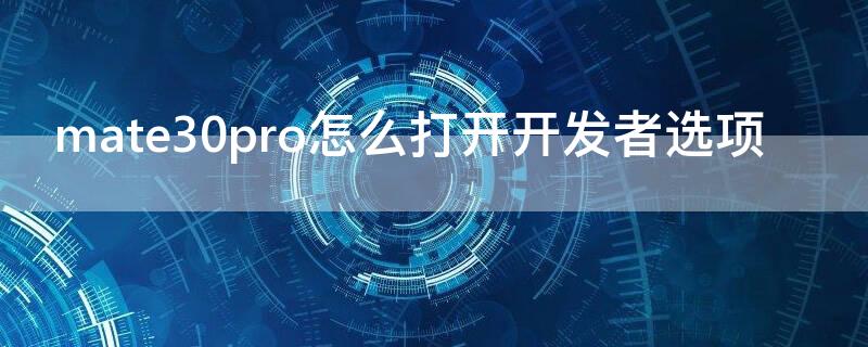 mate30pro怎么打开开发者选项（华为mate30pro开发者模式怎么打开）