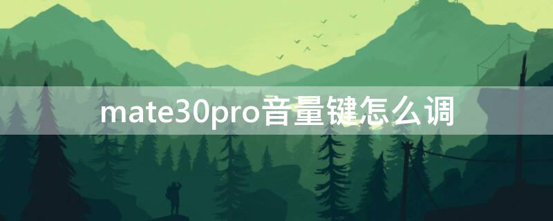 mate30pro音量键怎么调（mate30pro音量键怎么调节）