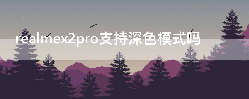 realmex2pro支持深色模式吗 realmex2pro性能模式