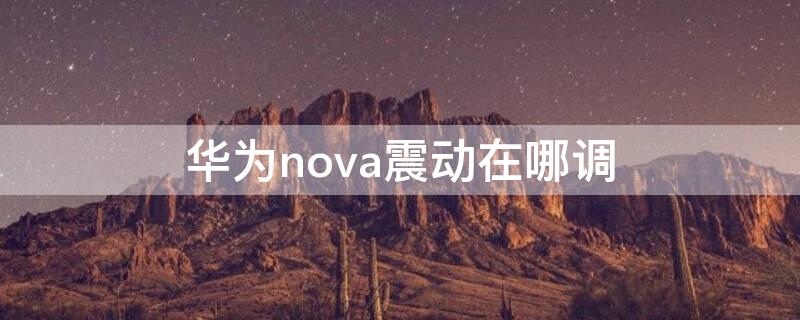 华为nova震动在哪调（华为nova4震动在哪调）