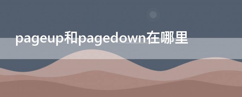 pageup和pagedown在哪里 page up page down在哪