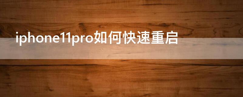 iPhone11pro如何快速重启 iphone12pro怎样重启