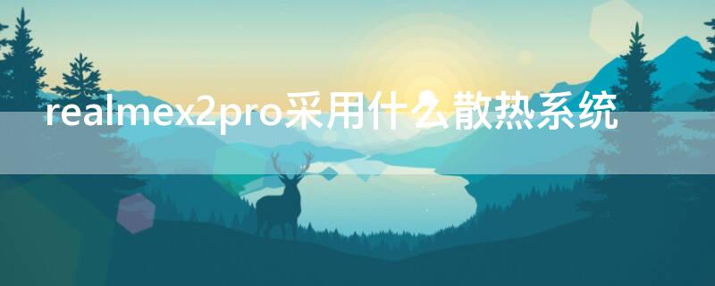 realmex2pro采用什么散热系统（realmex2pro的散热系统）