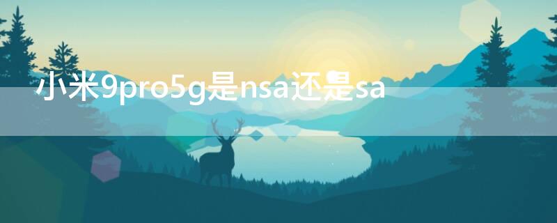 小米9pro5g是nsa还是sa（小米9 nsa）