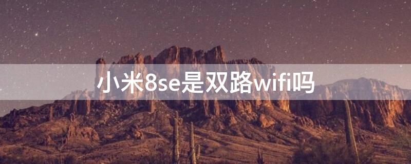 小米8se是双路wifi吗（小米8se支持wifi5g吗）