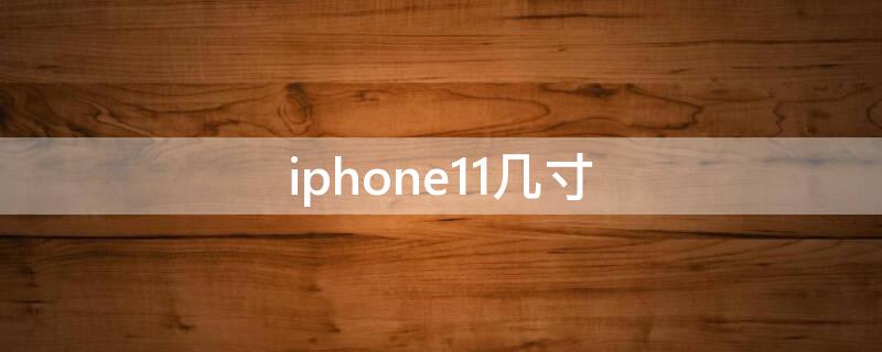 iPhone11几寸（iphone11几寸大）