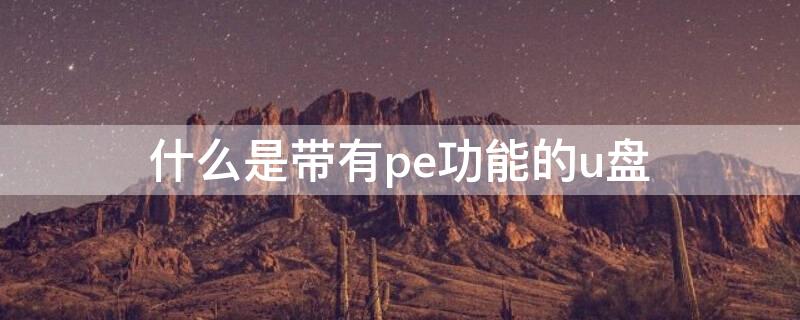 什么是带有pe功能的u盘（什么是带有pe功能的u盘启动）