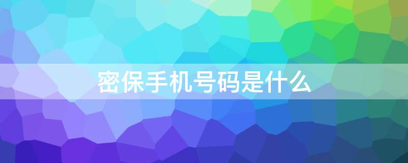 密保手机号码是什么（密保手机号码是什么?）