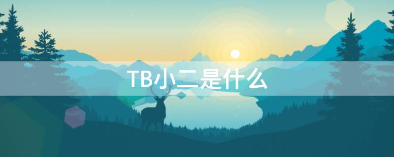 TB小二是什么
