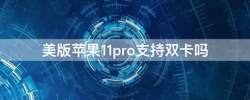 美版iPhone11pro支持双卡吗 美版iphone12pro支持双卡吗