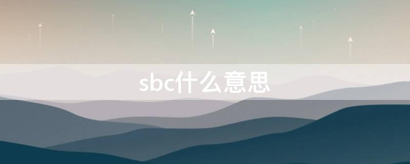 sbc什么意思 蓝牙连接sbc什么意思