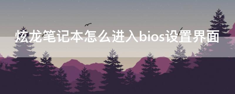 炫龙笔记本怎么进入bios设置界面（炫龙笔记本怎么进入bios设置界面怎么保存）