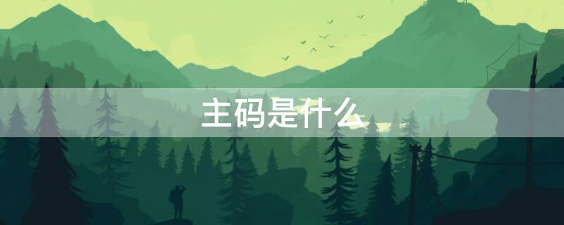 主码是什么（主码是什么意思）