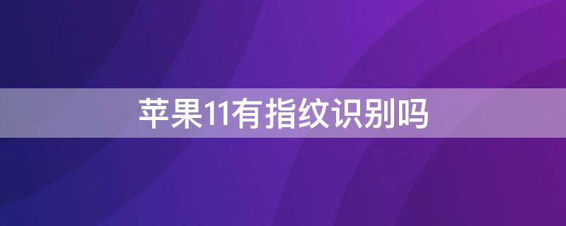 iPhone11有指纹识别吗（iphone11有指纹识别功能吗）