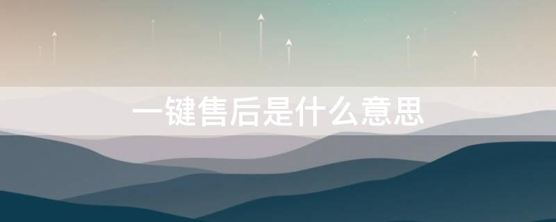 一键售后是什么意思（一键赔什么意思）