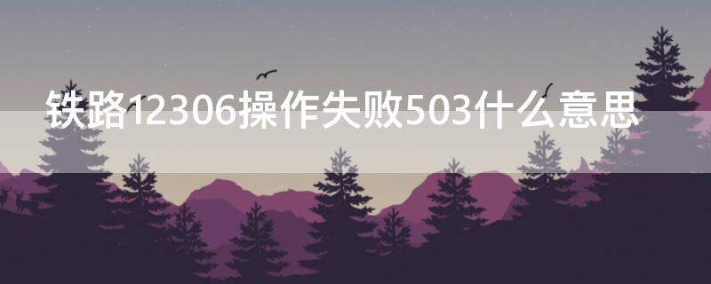 铁路12306操作失败503什么意思 铁路12306操作失败-1005是什么意思