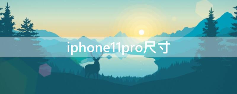 iPhone11pro尺寸