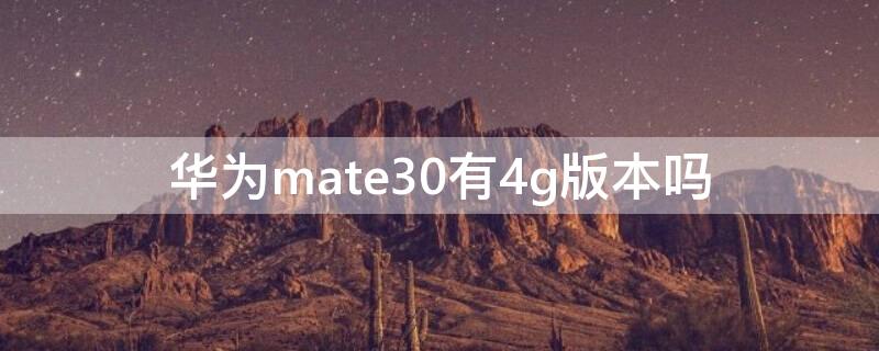 华为mate30有4g版本吗（华为mate 30有4g手机吗）