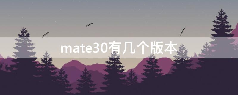 mate30有几个版本 mate30有几个版本型号