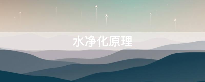 水净化原理（水的净化原理）