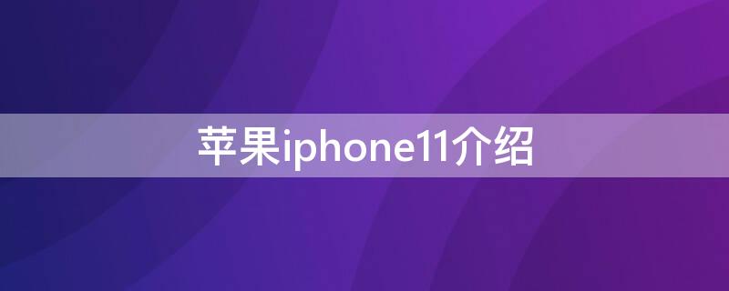 iPhoneiPhone11介绍 苹果11手机的介绍
