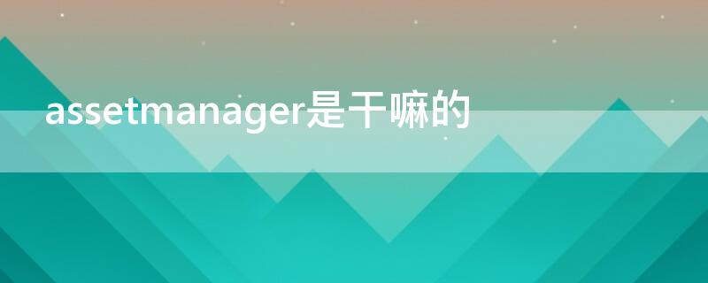 assetmanager是干嘛的（assets manager）