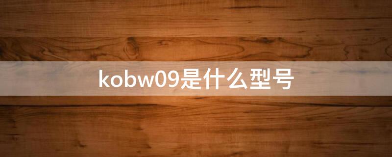 kobw09是什么型号 kobw09是什么型号玻璃屏多少钱