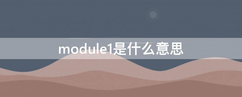 module1是什么意思 modules什么意思