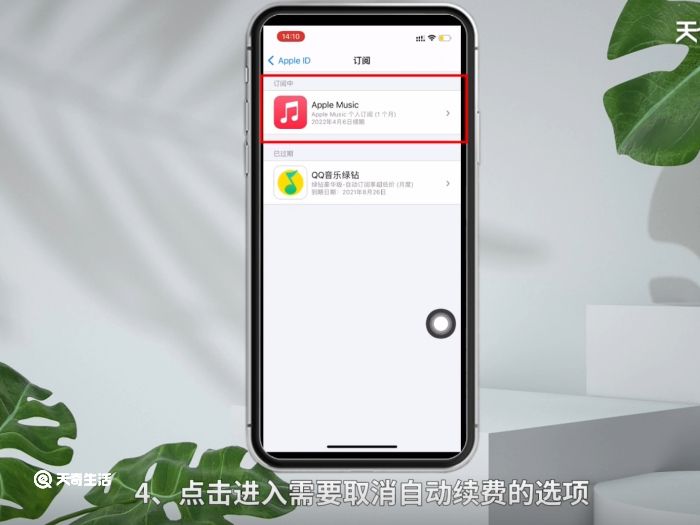 苹果手机在哪取消自动续费