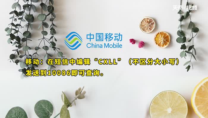 流量查询发什么短信