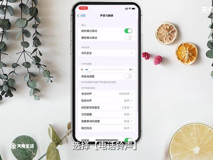 iPhone怎么设置自定义铃声