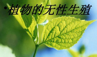 无性生殖和单性生殖的区别是什么（有无性生殖区别）