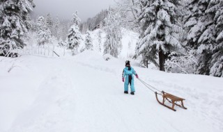 滑雪前不能吃太饱是为什么 滑雪前不能吃得太饱是为什么