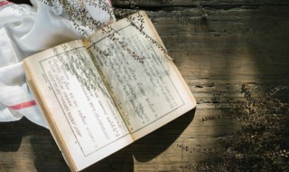 红楼梦读书笔记300字 红楼梦读书笔记300字四篇