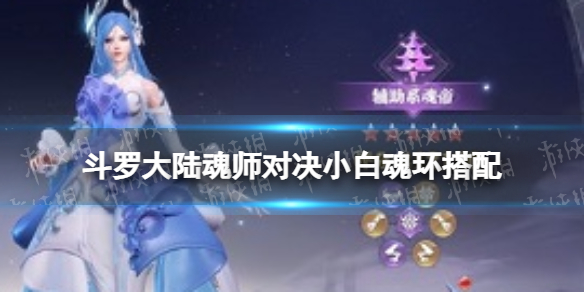 斗罗大陆魂师对决小白魂环搭配