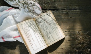 小王子读后感300字左右 小王子读后感300字左右高中