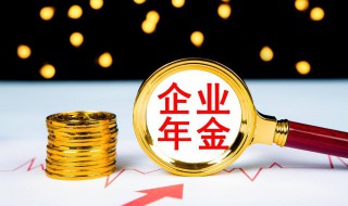 企业年金怎么查询个人账户（个人企业年金怎么查询个人账户）