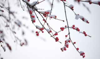 瑞雪兆丰年意思 瑞雪兆丰年意思相近的句子