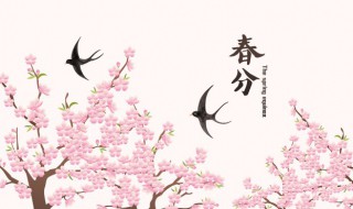 2022年春分是好日子吗 2022年春分这天结婚好不好