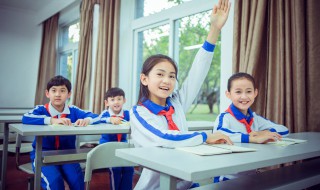 网络上说le是什么意思（les是什么意思）
