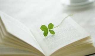 二年级上册全部古诗 二年级全部古诗