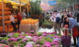 西方哪些国家送花忌讳送双数（西方国家送人鲜花讲究单数还是双数）