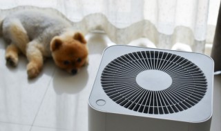 加湿器是热气还是凉气 加湿器是热气还是冷气