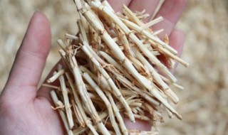 白茅根的营养价值（白茅根的药用价值和功效是什么?）